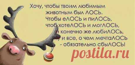 Мой Мир@Mail.Ru