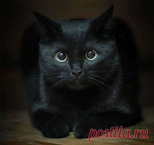 Красотка!