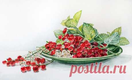 Мария Мишкарева - художник акварелист. Натюрморты.