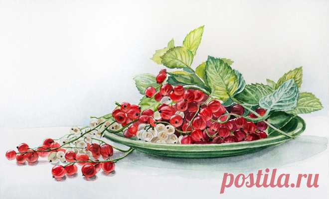 Мария Мишкарева - художник акварелист. Натюрморты.