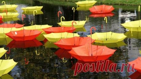 Зонтики под дождем