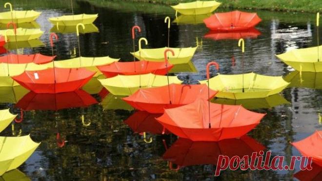 Зонтики под дождем