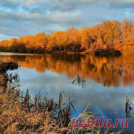 Золотой ноябрь
Фото: leno4kagurina