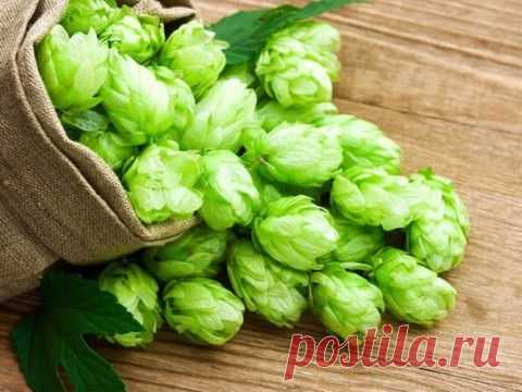 Необыкновенный, давно забытый чай! | Банк кулинарных рецептов