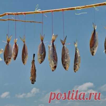 Ранним утром прогулка на тайский пляж дает многие возможности для фотосъемок & великий праздник воспоминаний.