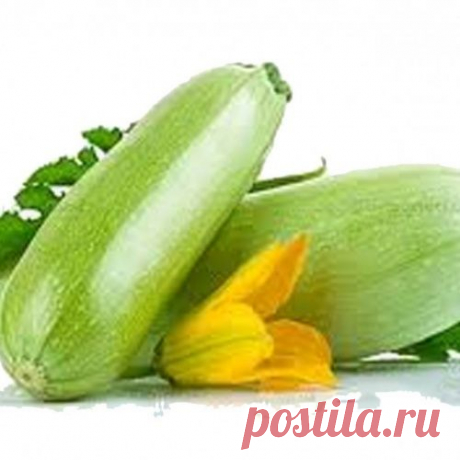 Как правильно заморозить кабачки
