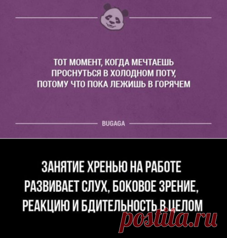 Приколы в картинках и фото (31 шт)