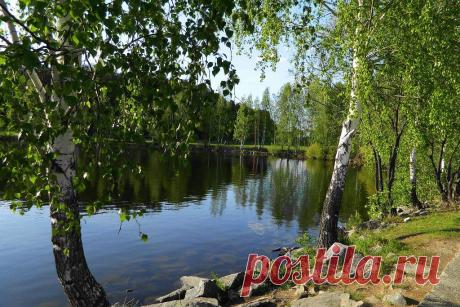 ФОТОМАСТЕРСКАЯ ПРИРОДЫ
Галина Чусовитина