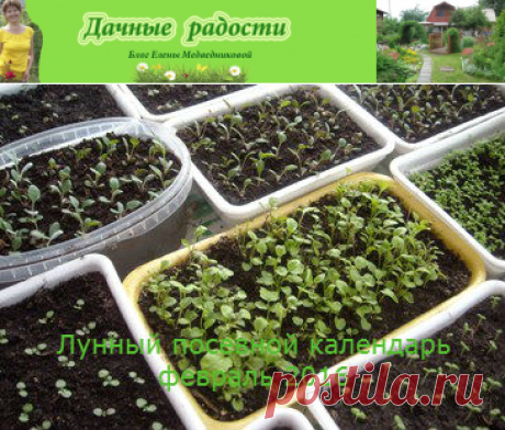 Лунный посевной календарь на февраль 2016 года - Дачные радости