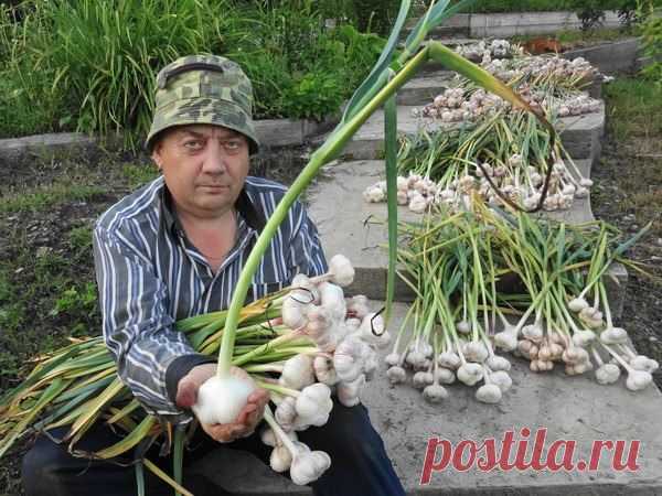 Новости