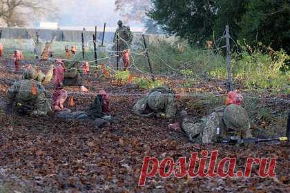 ЕС предложил Украине включающие военное сотрудничество гарантии безопасности. В преддверии встречи министров иностранных дел Европейского союза (ЕС) высокопоставленный представитель ЕС заявил, что сообщество предложило Украине гарантии безопасности, включающие в себя военное сотрудничество, как вклад в Вооруженные силы Украины (ВСУ) и борьбу с дезинформацией.