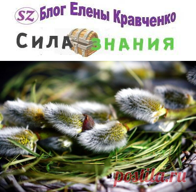 Вербное воскресенье — что за праздник, традиции и обычаи