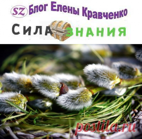 Вербное воскресенье — что за праздник, традиции и обычаи