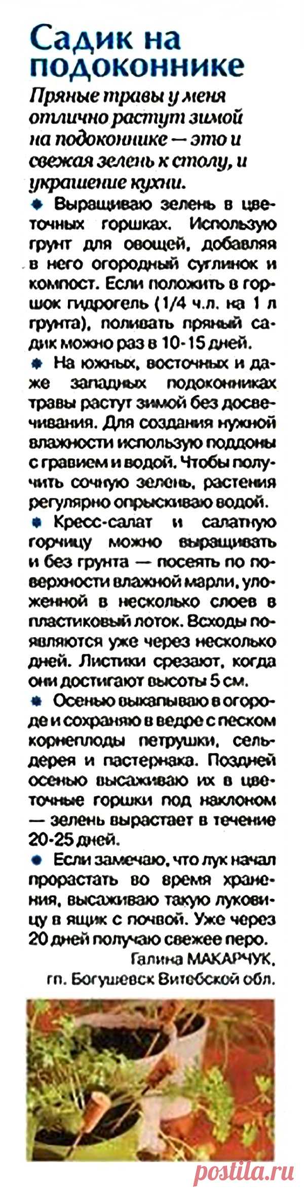 Садик на подоконнике