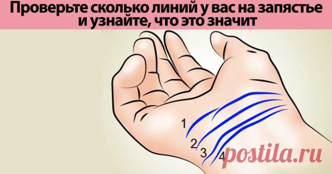 Сколько линий у вас на запястье? 3 или 4? Проверьте и узнайте, что это значит