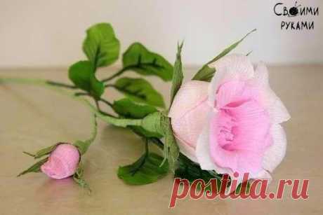 Розочка из гофрированной бумаги - легкий урок.