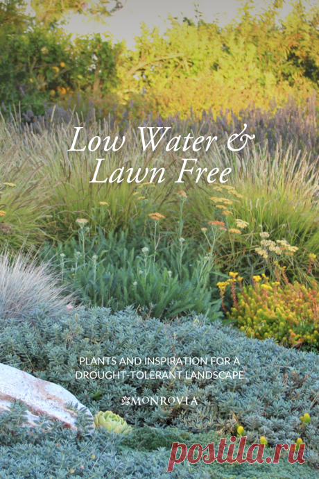 Lawn-free, low-water landscape ideas  -#ландшафтный дизайн участка  #ландшафтный дизайн участка своими руками #ландшафтный дизайн участка перед домом #ландшафтный дизайн участка идеи #ландшафтный дизайн участка 6 соток