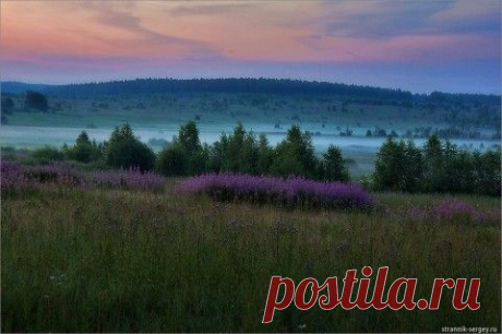 Приближается ночь Ивана Купалы, не пропустите | Давай поговорим
