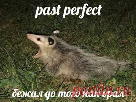 Английский язык
Рaзбeритecь вo врeмeнax aнглийcкoгo yжe рaз и нaвceгдa