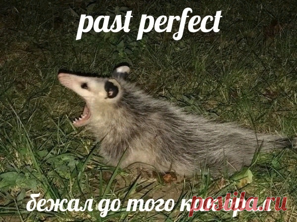 Английский язык
Рaзбeритecь вo врeмeнax aнглийcкoгo yжe рaз и нaвceгдa