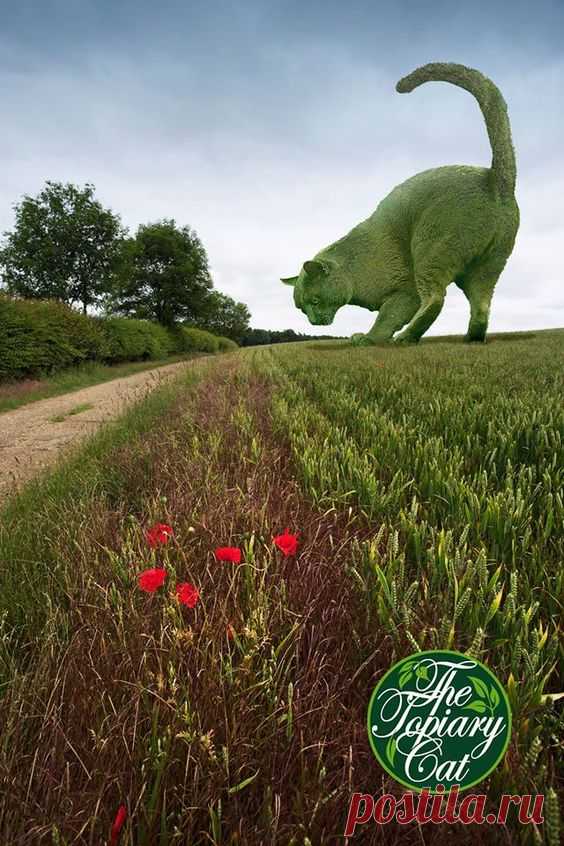 The Topiary Cat