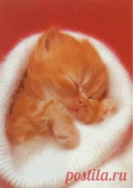 Мой Мир@Mail.Ru