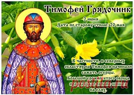Желаю счастья и добра,
Чтоб самой яркой жизнь была,
Достаток крупный в дом спешил,
Успех огромный удивил!