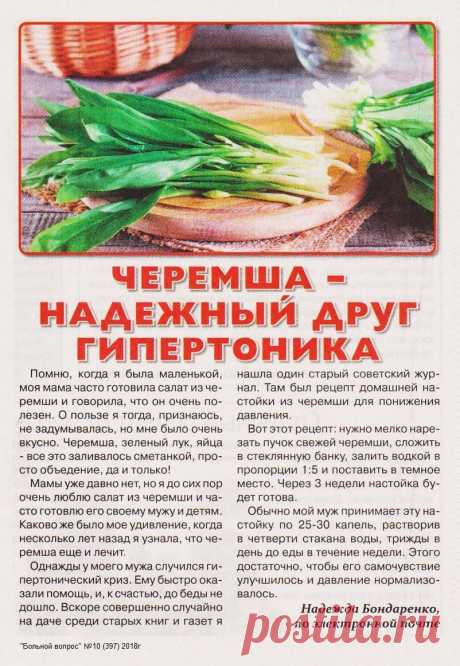 Черемша - надежный друг гипертоника