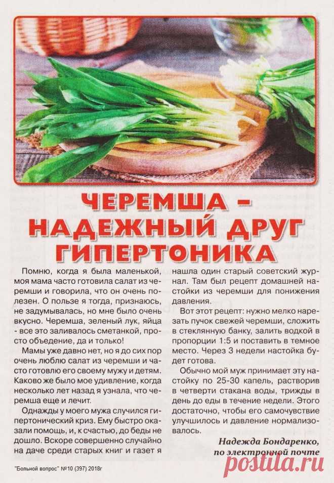 Черемша - надежный друг гипертоника