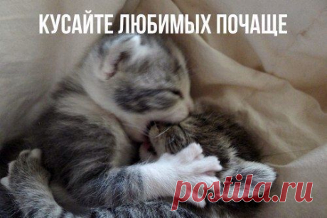(535) Pinterest