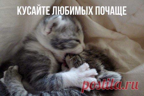 (535) Pinterest