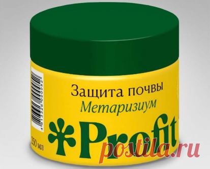 Экоземледелие: средство от болезней и вредителей из природных компонентов | Procvetok | Яндекс Дзен