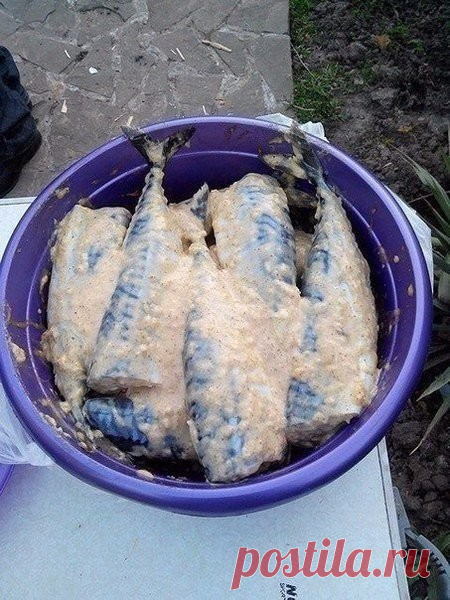 (56) Одноклассники
