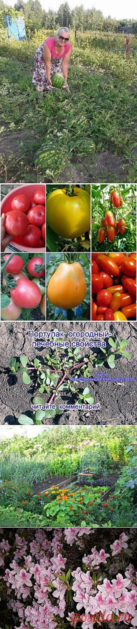 (75) Одноклассники