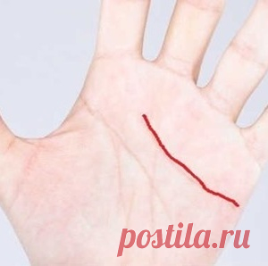 Если у Вас есть эта линия на руке, то Вы везунчик - МирТесен