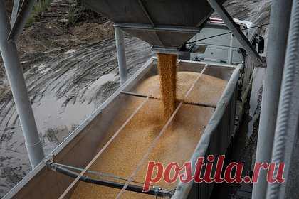 Анонсирована дата переговоров по зерновой сделке. Переговоры по зерновой сделке пройдут в Женеве 9 июня. ату проведения встречи анонсировал источник РИА Новости в Организации Объединенных Наций (ООН). По данным источника агентства, ООН будет представлять глава Конференции ООН по торговле и развитию (ЮНКТАД) Ребека Гринспен.