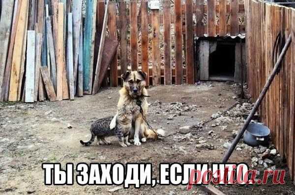 Не лезь туда, где Вас уже не ждут, 
И не ломитесь в запертые двери. 
Ведь те, кому Вы дороги-придут, 
А те, кто мимо шли-Вас лишь «имели»…