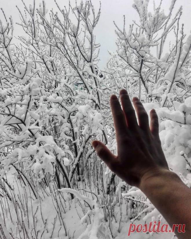 Природа, рука, зима, атмосфера, эстетика