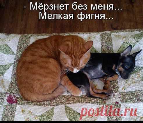 хх