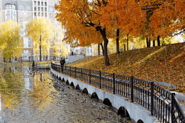 (1) Мой Мир@Mail.Ru