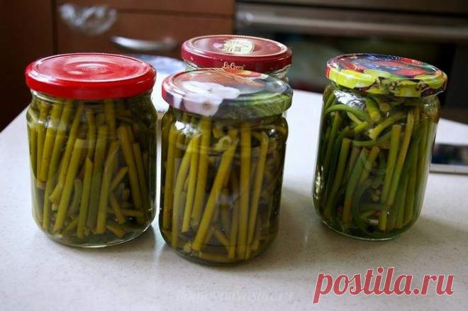 Чесночные стрелки: 13 рецептов приготовления. Что приготовить из стрелок чеснока