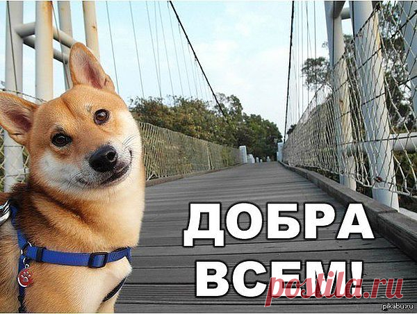 Мой Мир@Mail.Ru