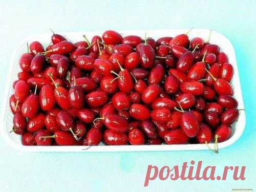 Секреты красоты - Google+