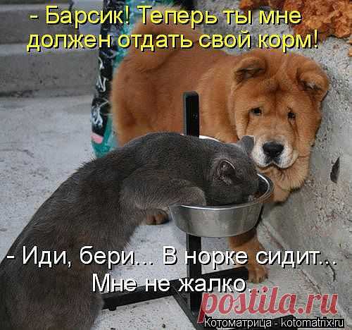 Мой Мир@Mail.Ru