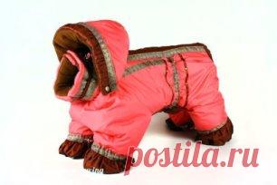 Комбинезон для собачки.
1. Замеряем длину спины собаки (от ошейника до корня хвоста) - точки (З-К);
2. Делим эту длину на 8 (пример: 40 см:8 = 5 см) - получаем сторону одной клетки в см (мм);
3. Расчерчиваем лист бумаги на клетки с соответствующей стороной, согласно схеме;
4. Отмечаем 