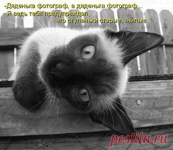 Для хорошего настроения