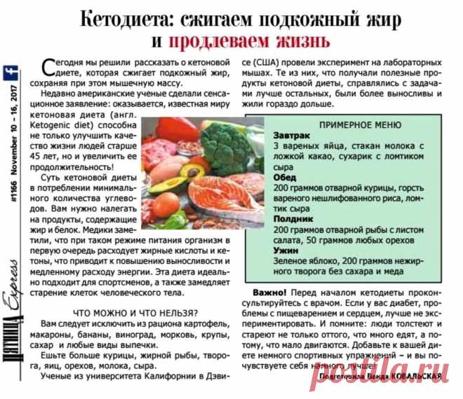 Кетодиета: сжигаем подкожный жир и продлеваем жизнь