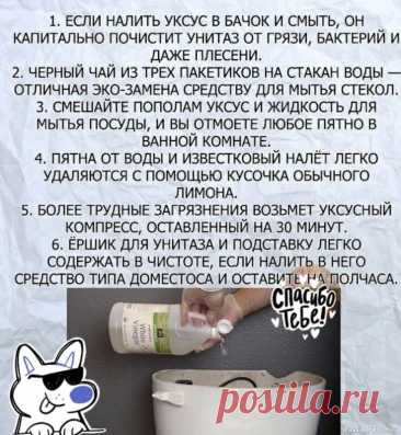 Полезные советы хозяйкам .