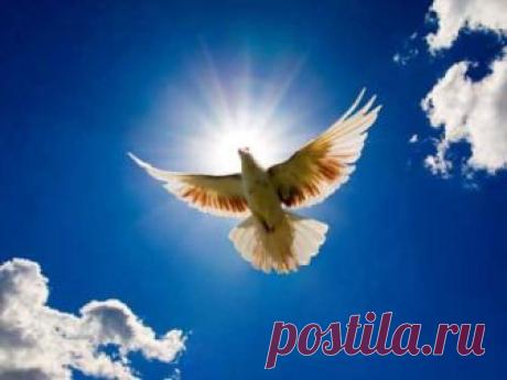 Троицкая родительская суббота 26 мая 2018 года Троица — один из важнейших религиозных праздников для православных верующих, которому предшествует другое, не менее значимое событие — Троицкая родительская суббота. С этим днем связано множество традиций и обычаев, о которых должен помнить каждый православный верующий.