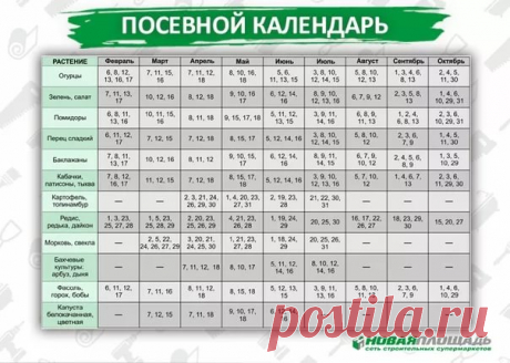 посевной календарь на 2021 год: 2 тыс изображений найдено в Яндекс.Картинках